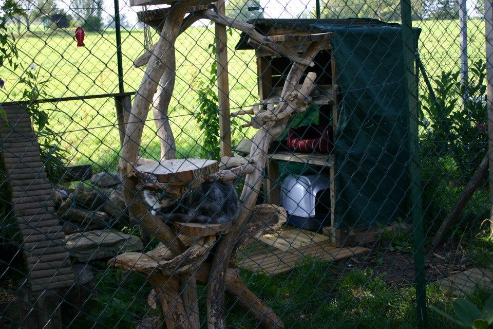 arbre a chat d'exterieur